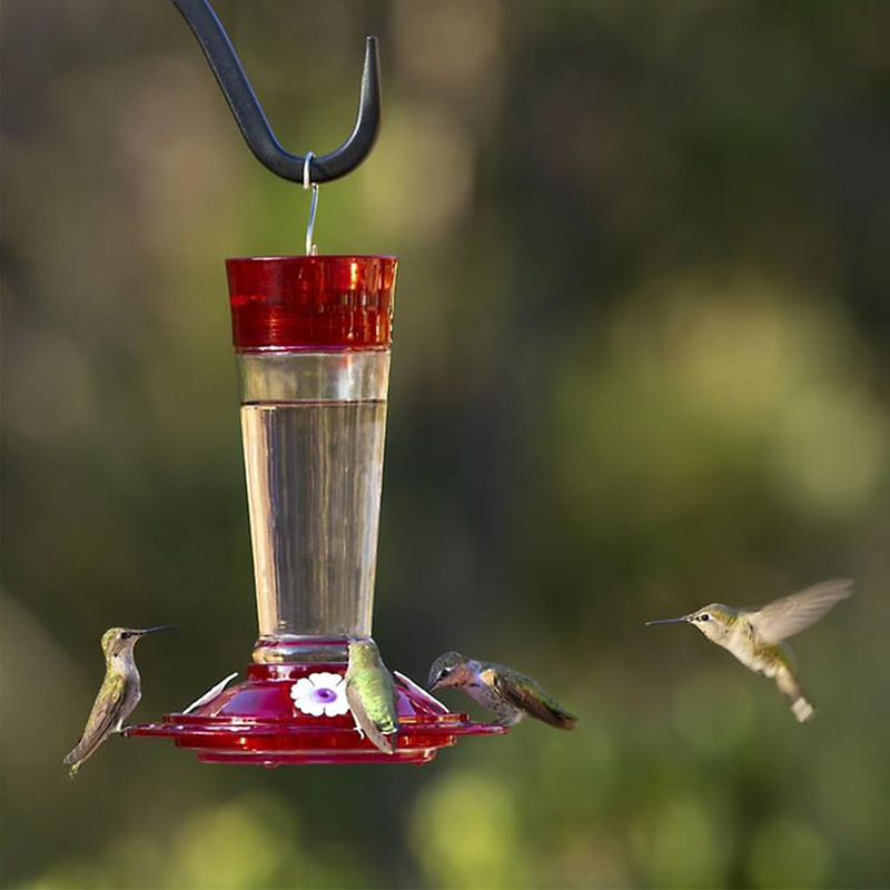 Relocate Your Feeder Frequently