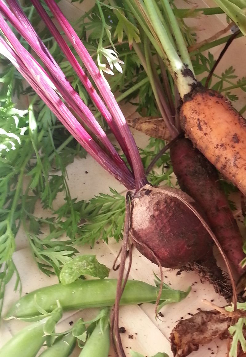 Parsley