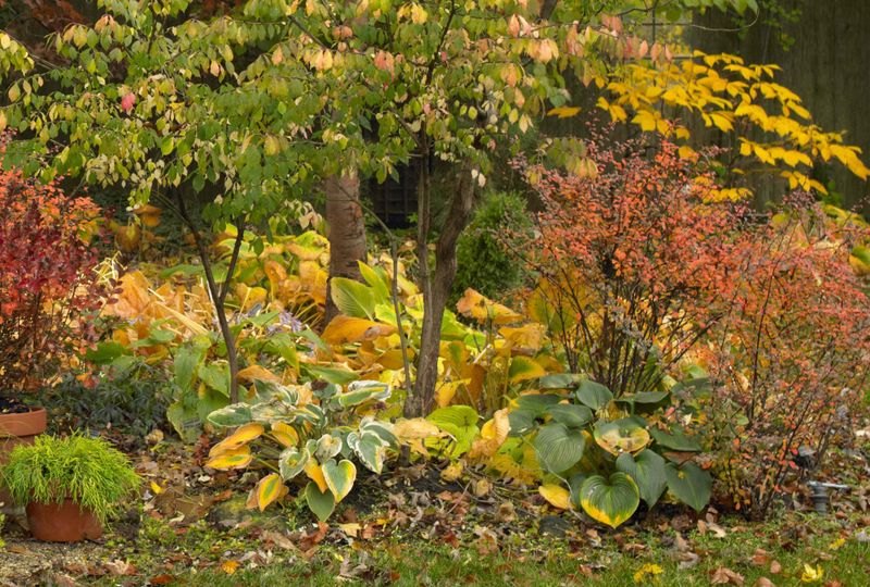 Clear Away Garden Debris