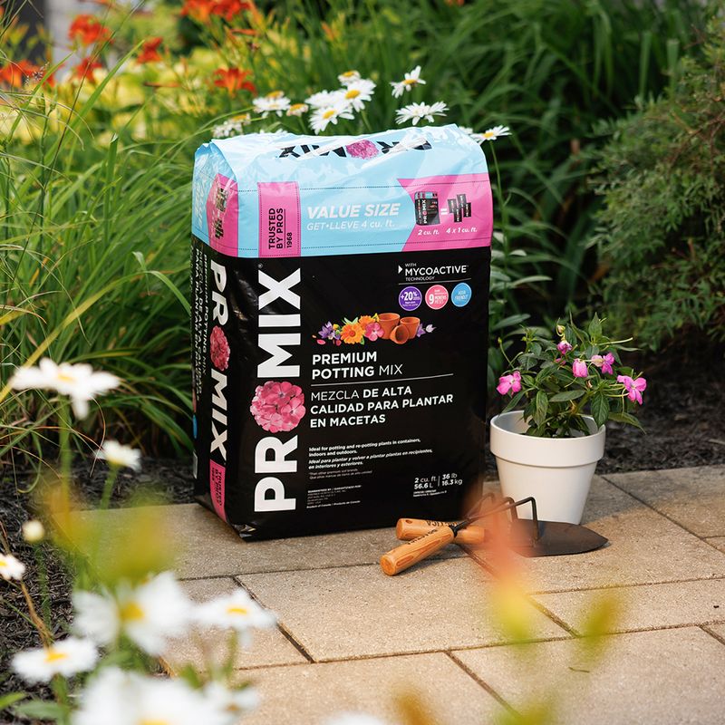 Use High-Quality Planting Medium