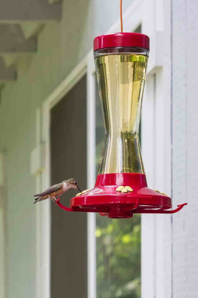 Fresh nectar still matters, even when other clues get attention