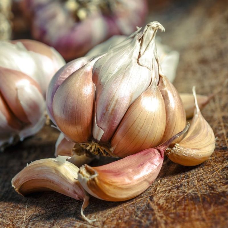The clove keeps its defense ingredients apart