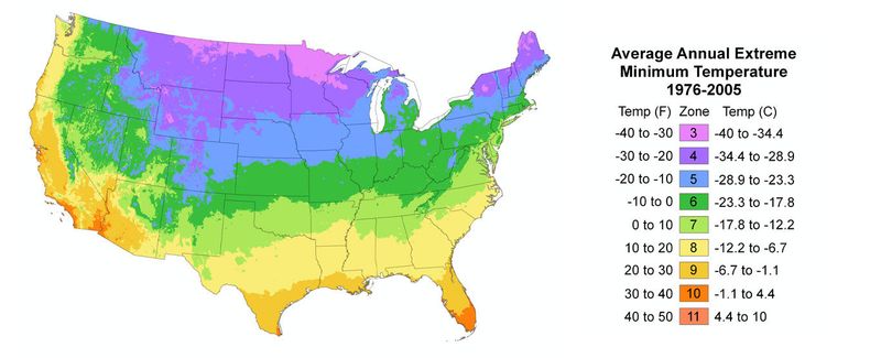 Choose the Right Variety for Your Region