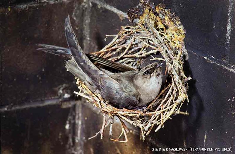 The stewardship payoff extends beyond one chimney