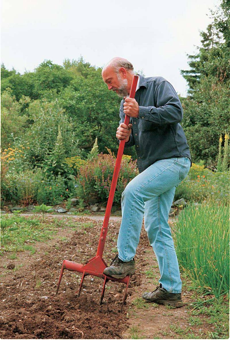 Loosen the Soil Deeply