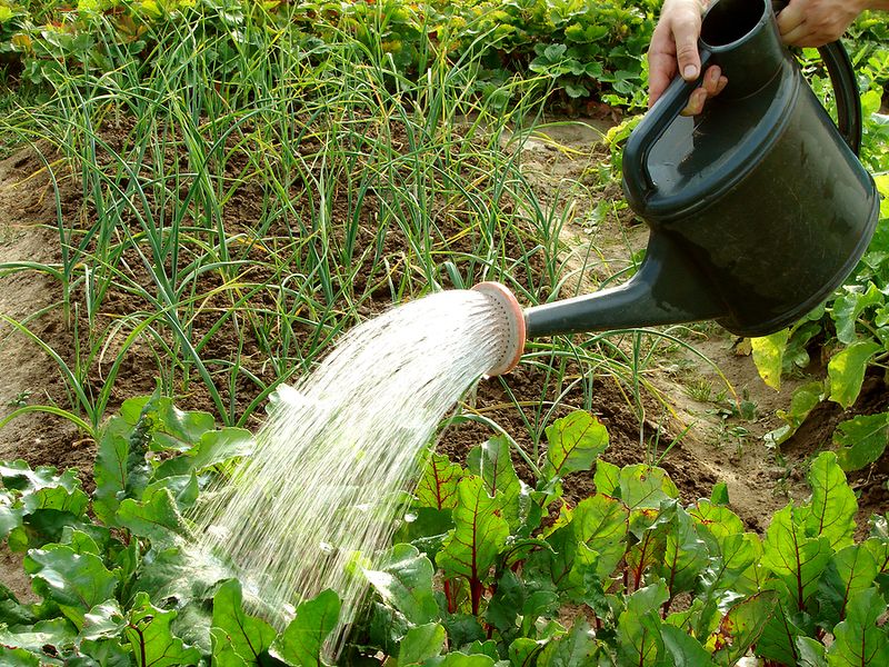 Water Deeply and Consistently