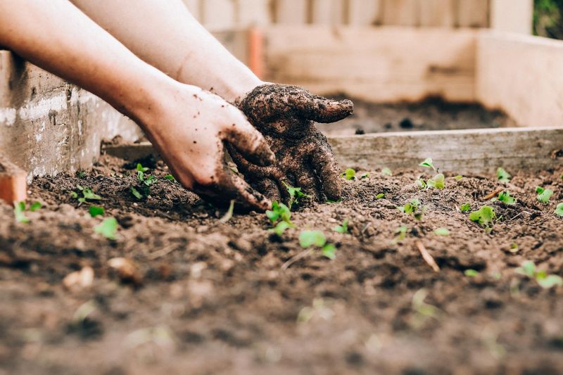 Metal accumulation is not a backyard cleanup plan