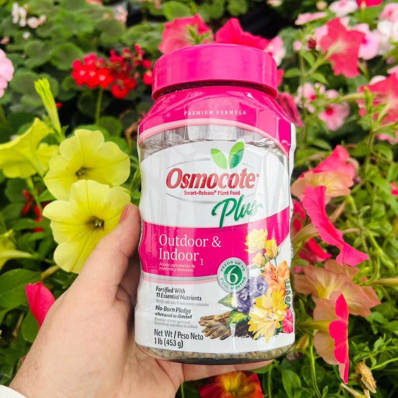 Mix in a Slow-Release Fertilizer at Potting Time