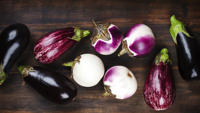Know Your Eggplant Varieties