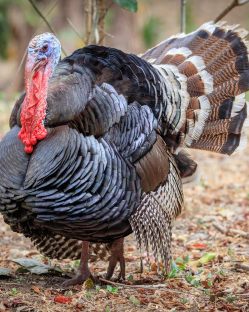 Let the sighting guide better stewardship