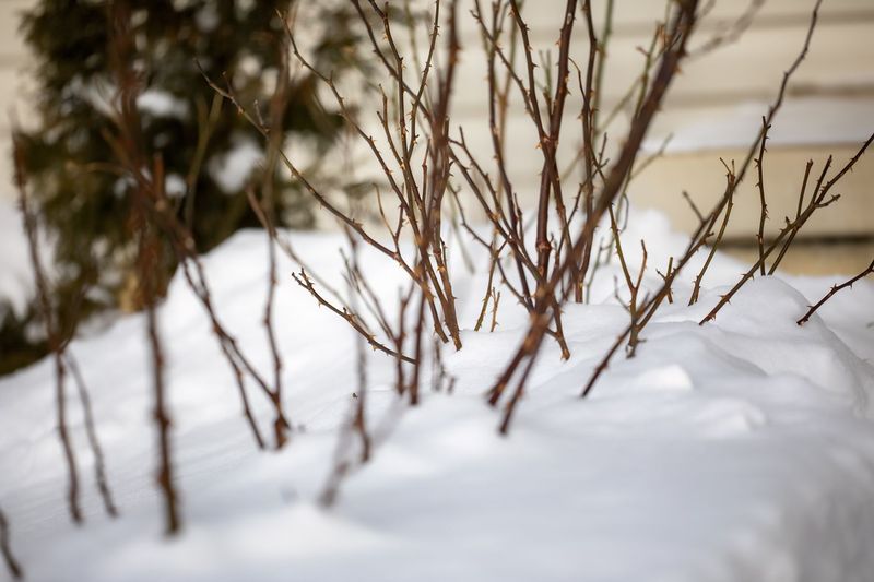 Wait for Dormancy Before Heavy Protection
