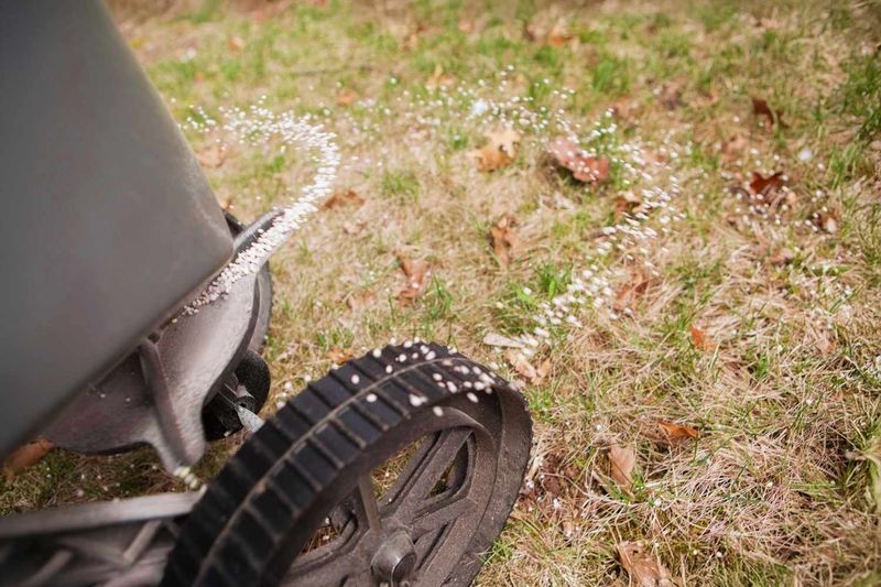 Heavy Fall Fertilizing