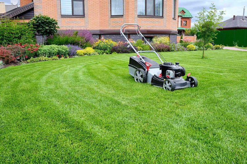 Mowing cannot level soil, and rolling is not a universal fix