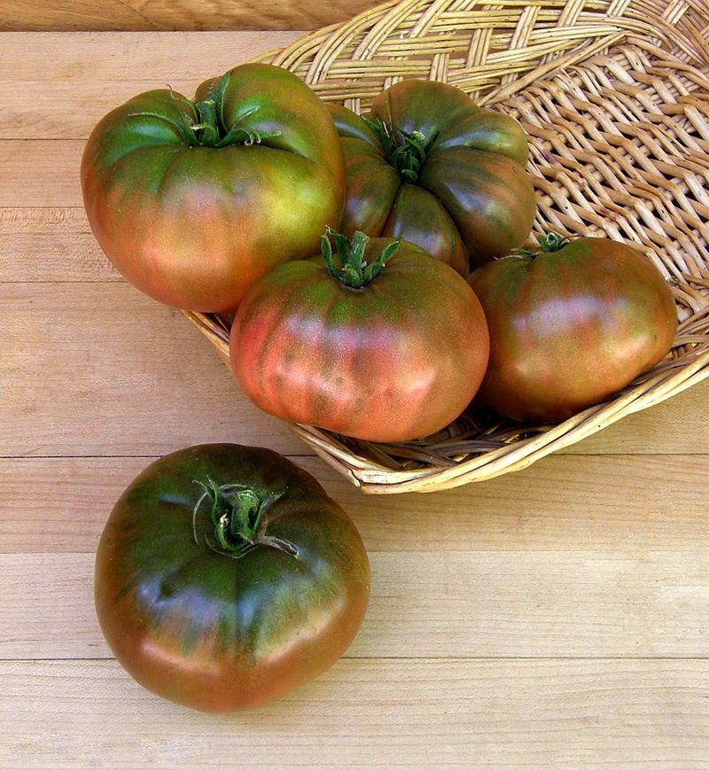 Black Krim (Heirloom)