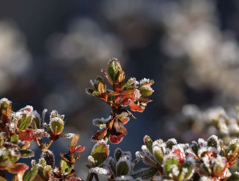 Skip the Fertilizer Until Spring
