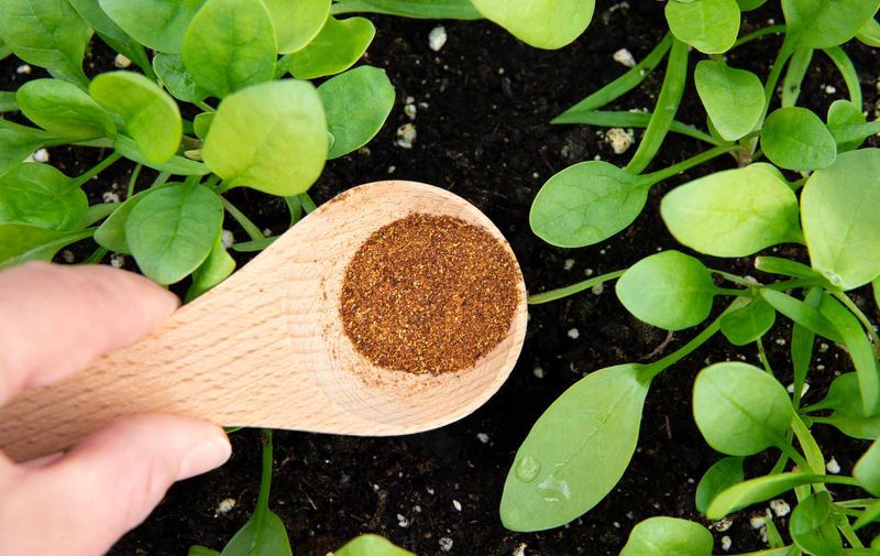 Cayenne Pepper or Chili Powder