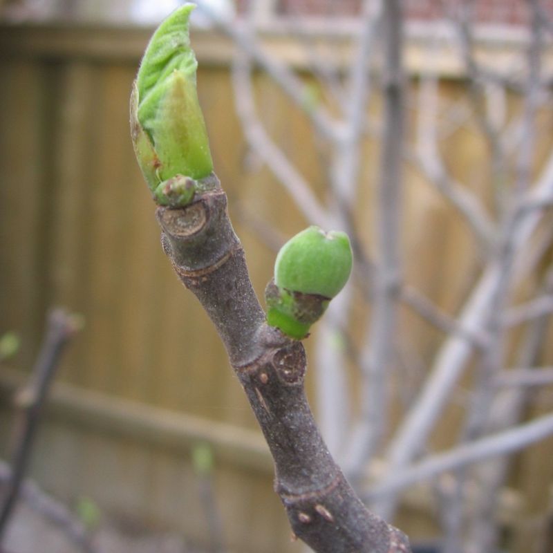 What does winter protection actually save?