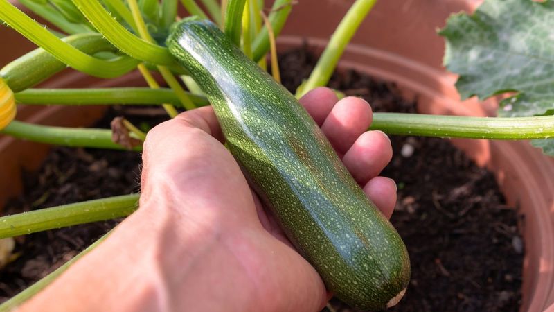 It Fits Comfortably In One Hand