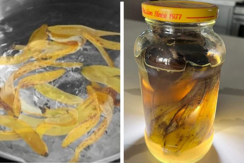 Brew a Banana Peel Potassium Tea