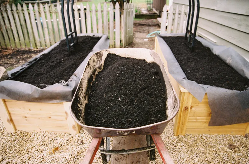 Use raised beds carefully and skip risky shortcuts