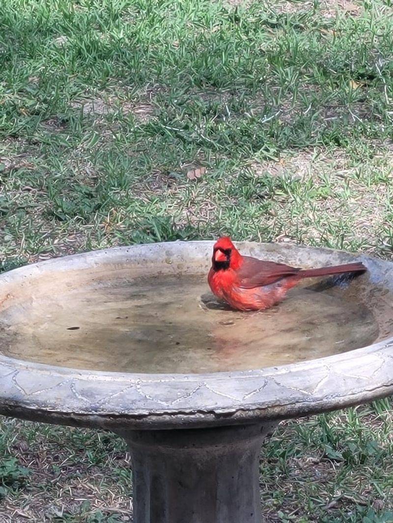 A Reliable Fresh Water Source