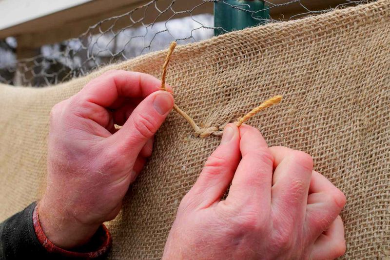 Protect Buds from Winter and Late Frost Damage