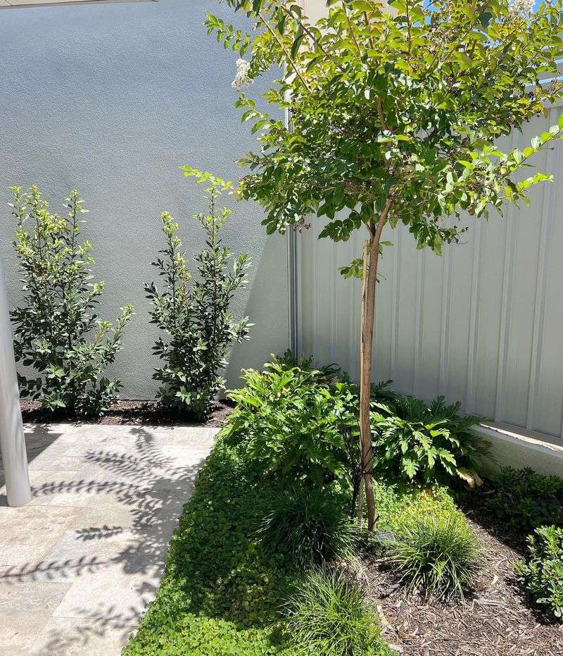 An open base can create planting room, with limits
