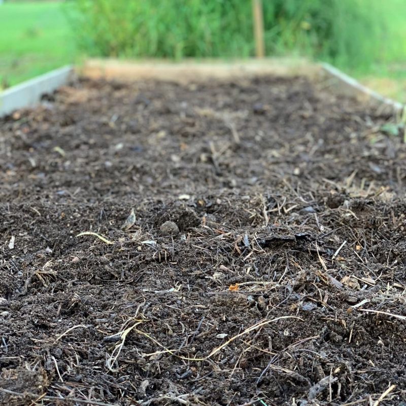 Prepare a loose, deep seedbed