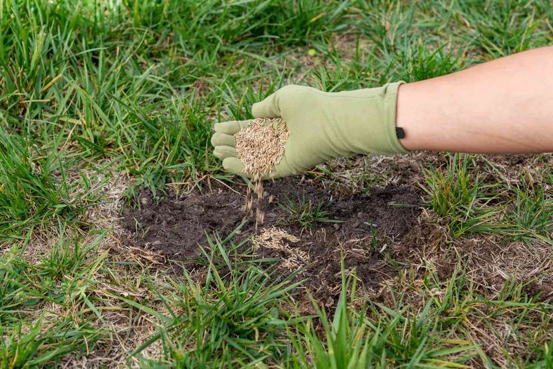 Hand-Spread Seed Evenly