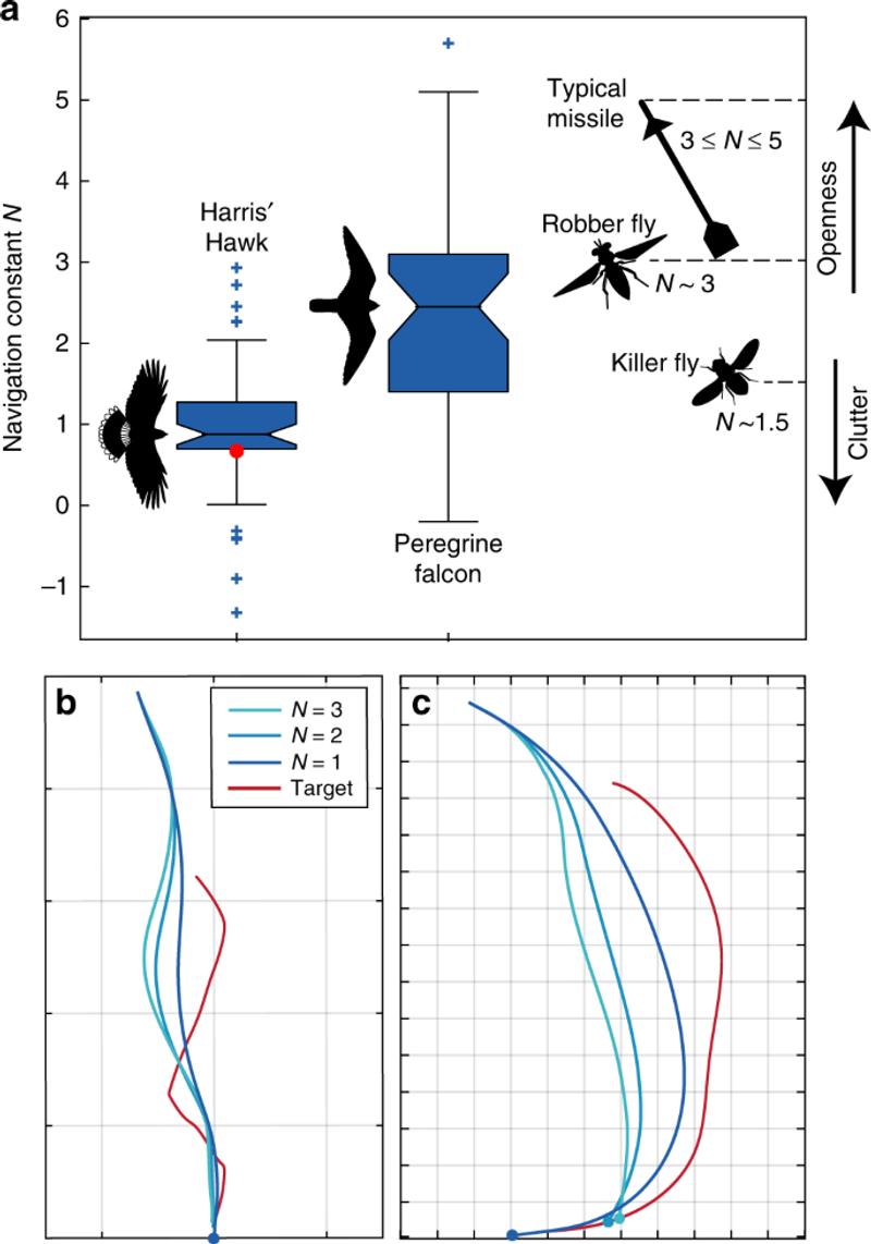 Its Attack Path Resembles Missile Guidance Without Proving Mid-Air Math