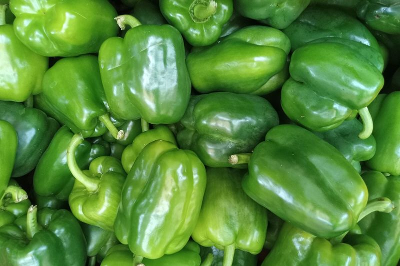 Green Peppers Cost Less for a Good Reason