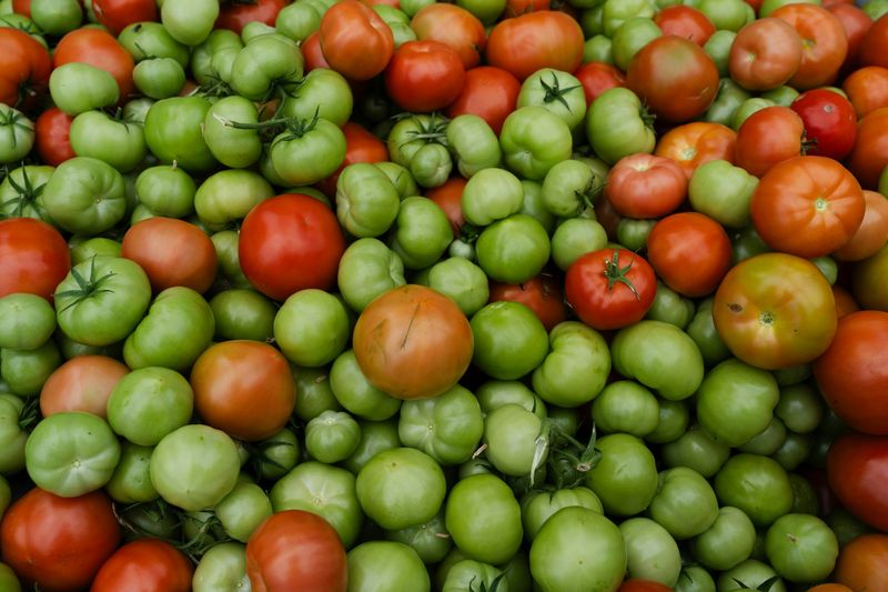 Harvest strategically when frost arrives first