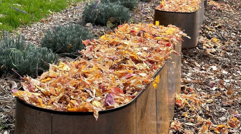 Containers and Raised Beds