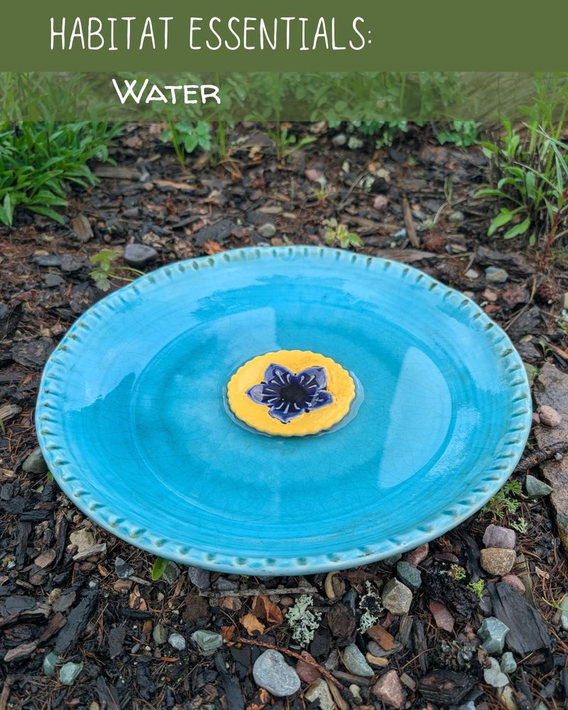 Recycled Ceramic Dish Native Garden Bath