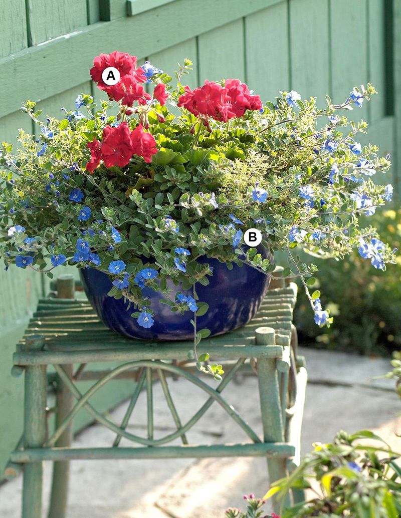 Group Pots for a Lush, Layered Display