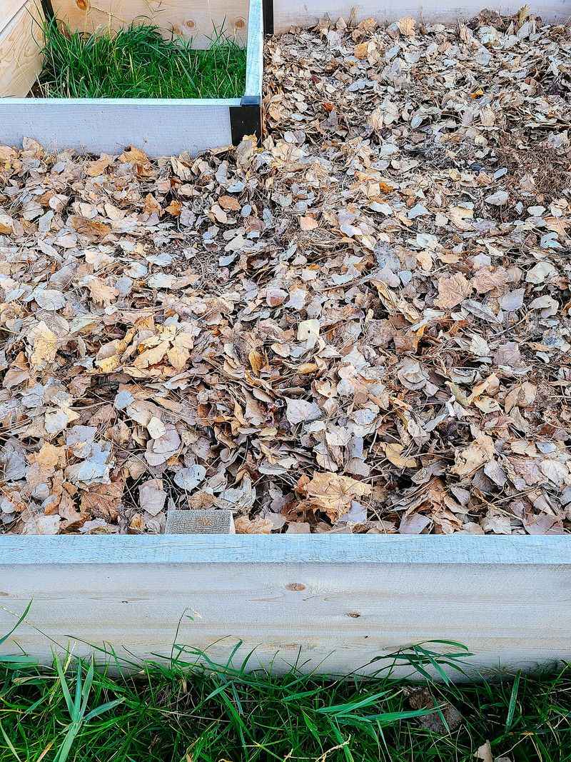 Check the bed again in spring