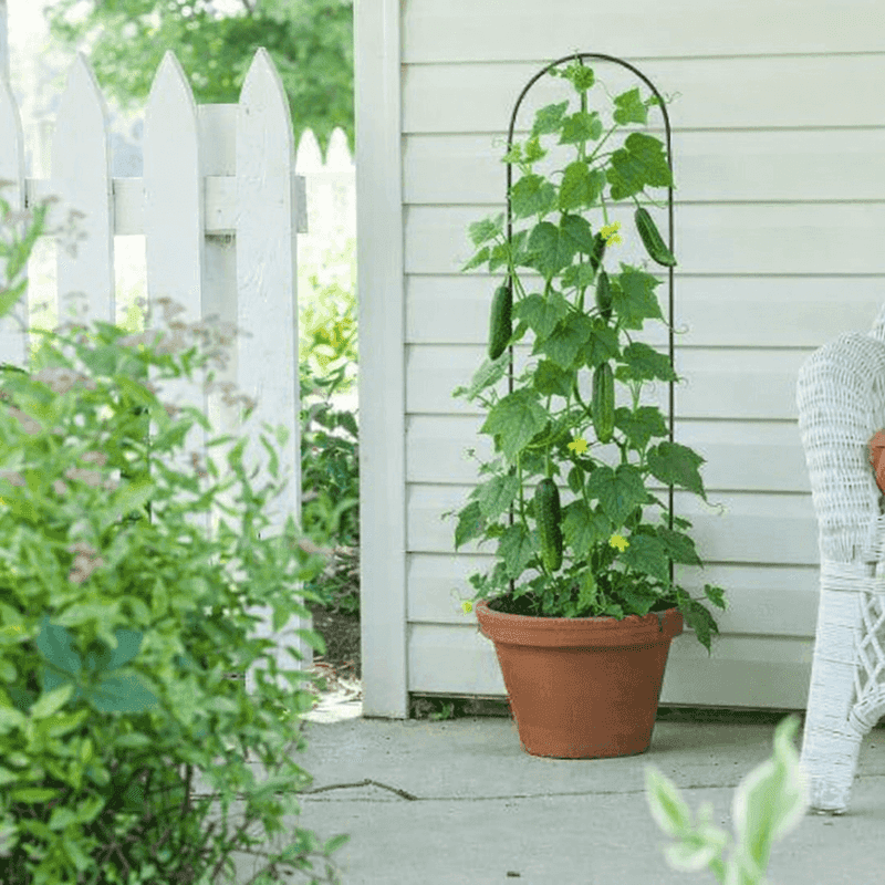 Add a Trellis From Day One
