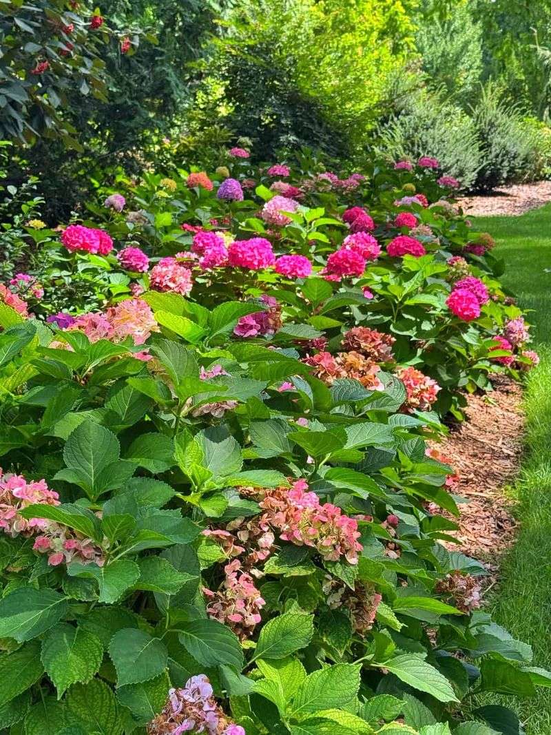 Planting in a Windy, Exposed Spot