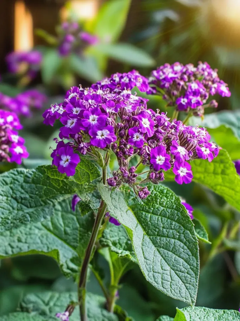 Watch for Pests and Treat Pollinator Value as a Bonus