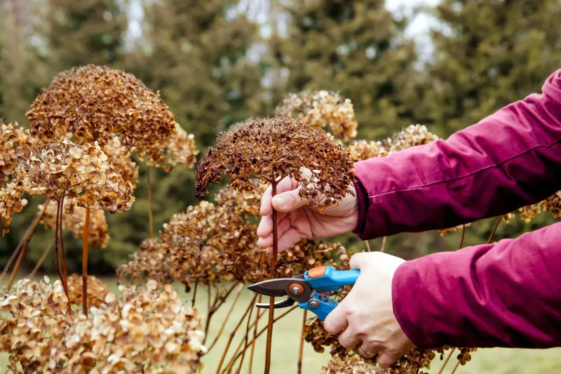 Choose a pruning window—or wait until you know more