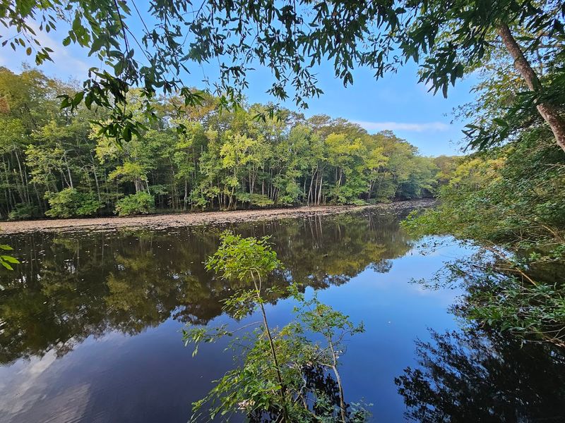 Rich Wildlife That Calls The Floodplain Home