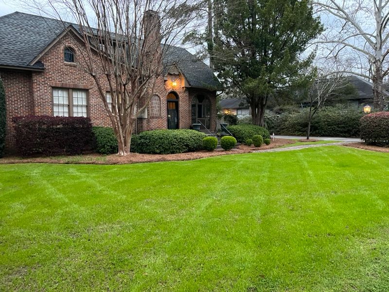 Warm-season lawns need a different fall plan