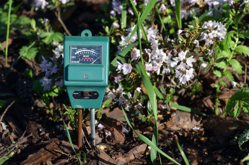Ignoring Soil pH