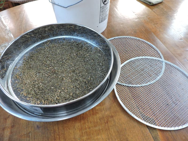 Sift the Seeds From the Debris