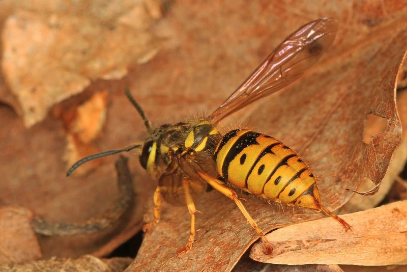 October activity reflects a late-season cycle