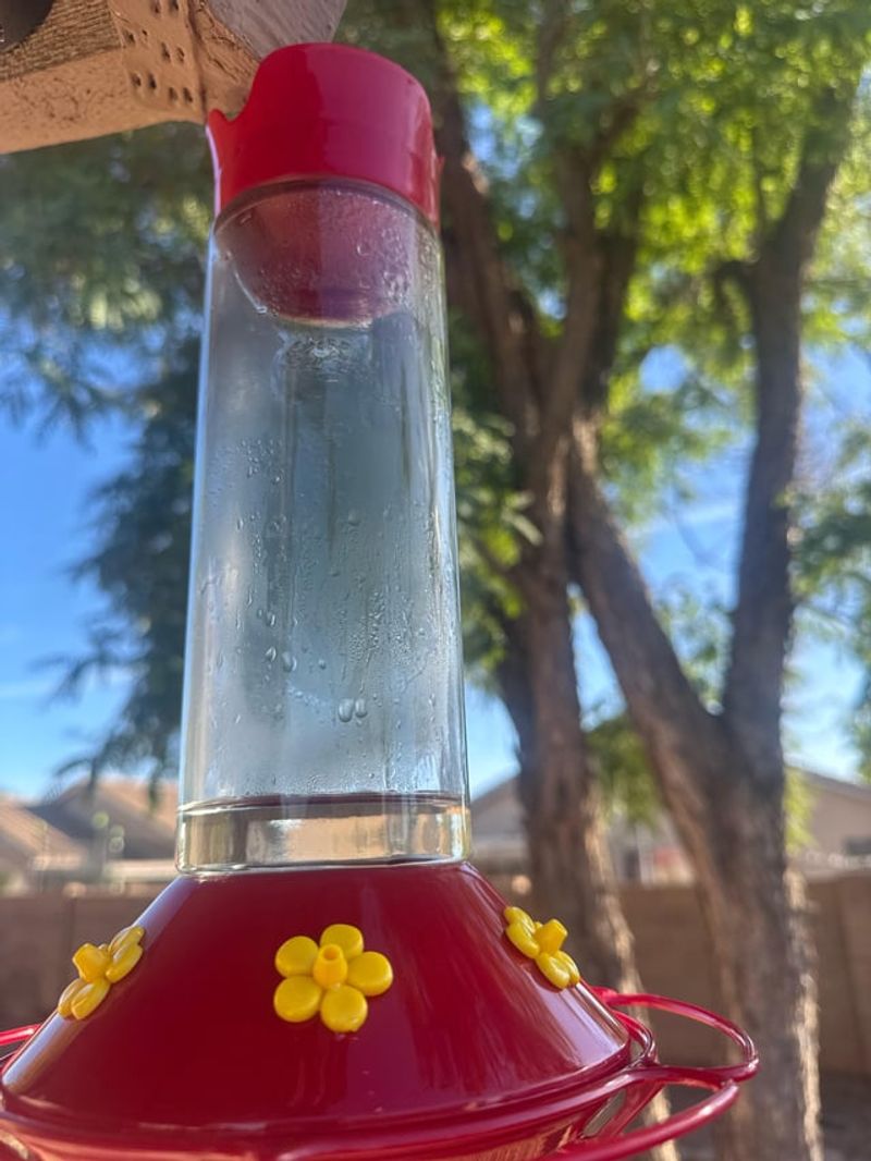 Feeder Problems and Spoiled Nectar