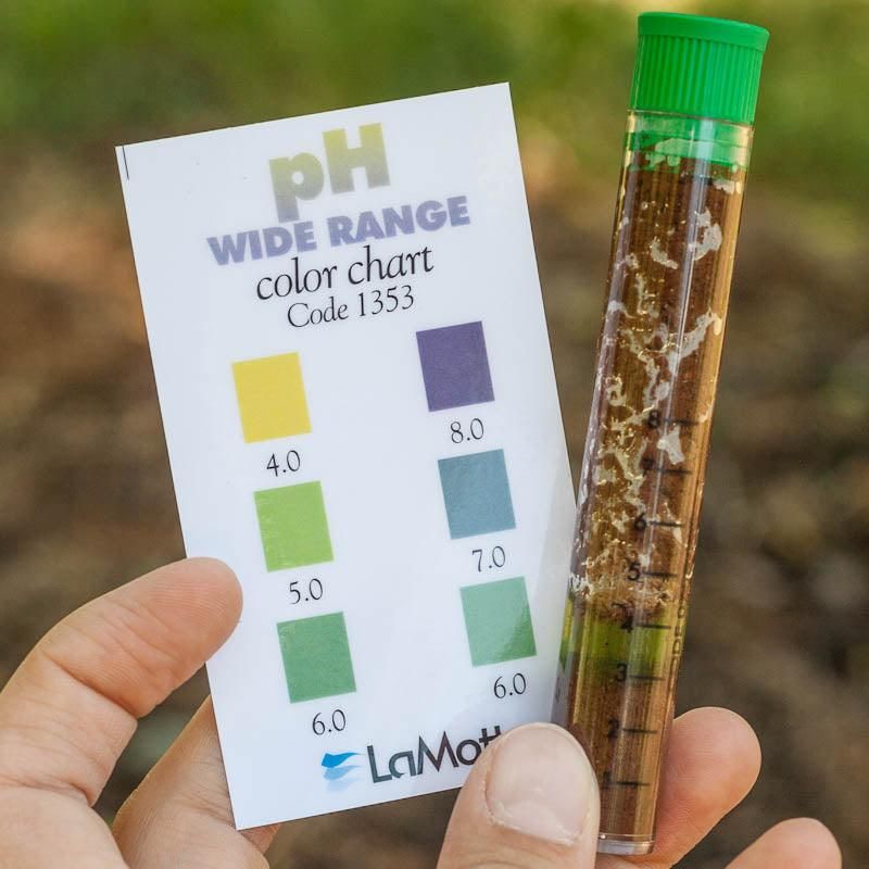 Test the soil before adding routine fertilizer