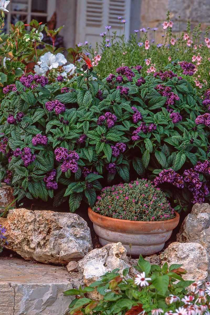 Place It Where You Will Notice the Fragrance
