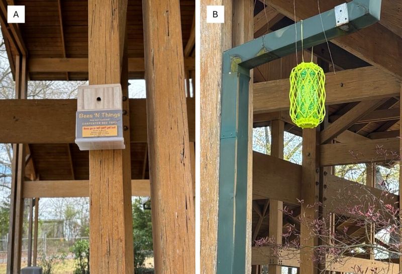 The Porch Can Offer a Nest, Not Proof of a Pollinator-Rich Yard