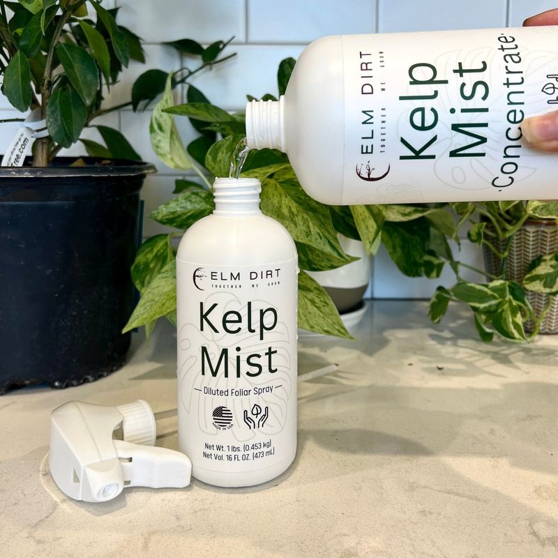 Try a Kelp or Seaweed Extract